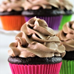 gluten free mexican chocolate cupcakes