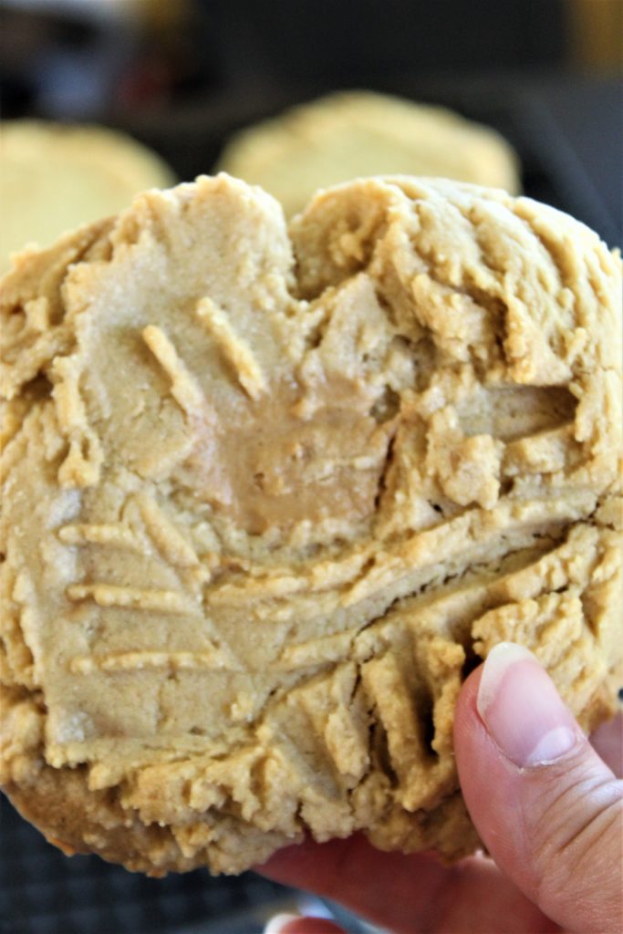 ultimate gluten free peanut butter cookies in hand