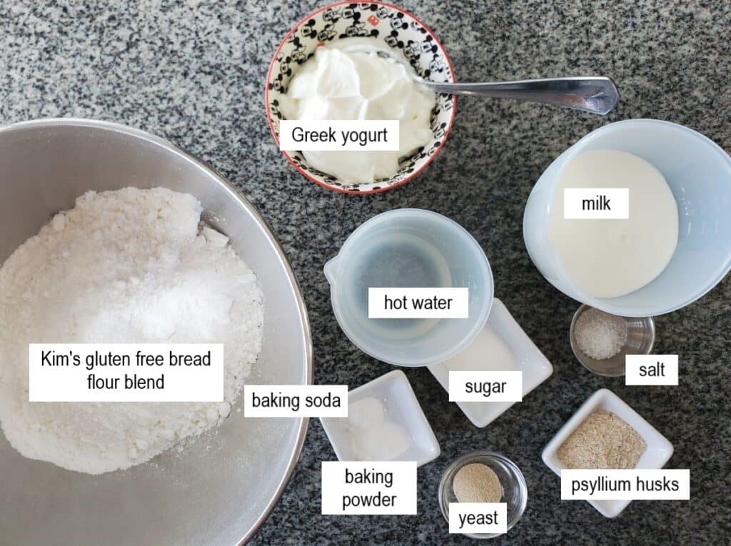 ingredients for gluten free naan measured out and labeled on granite countertop.