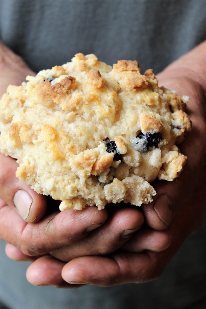 gluten free bakery style blueberry muffins