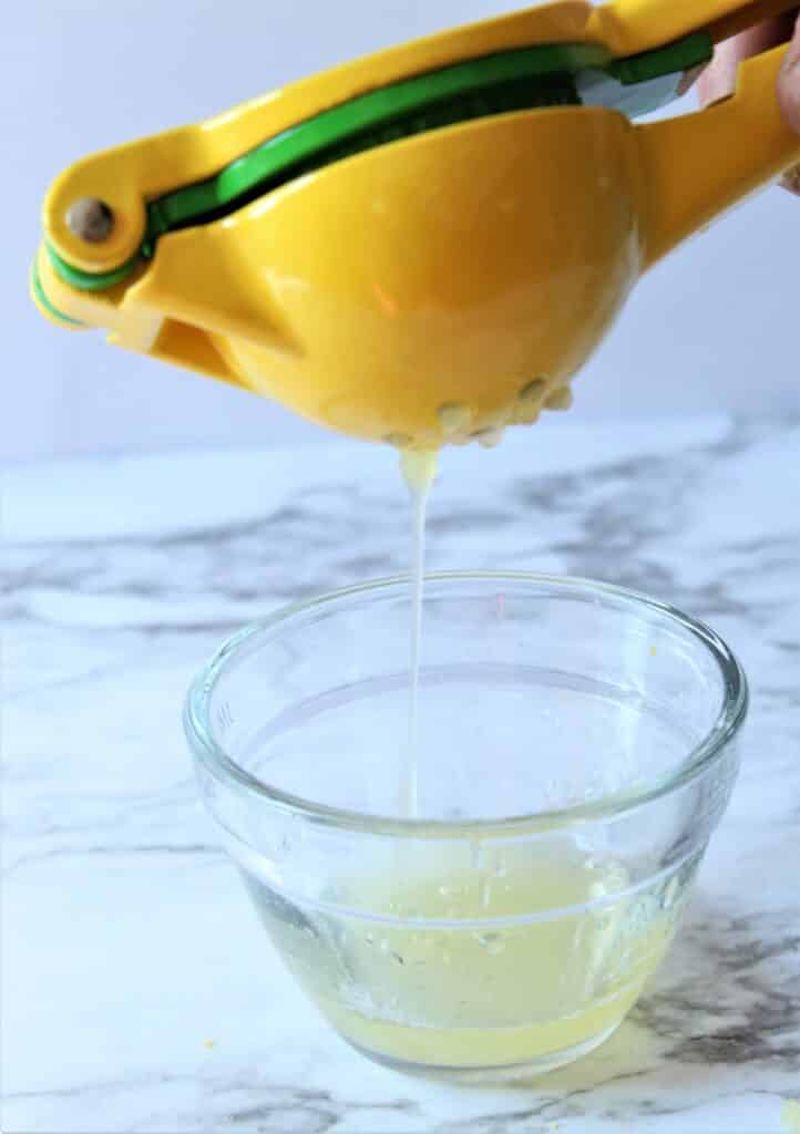 lemon squeezer 3