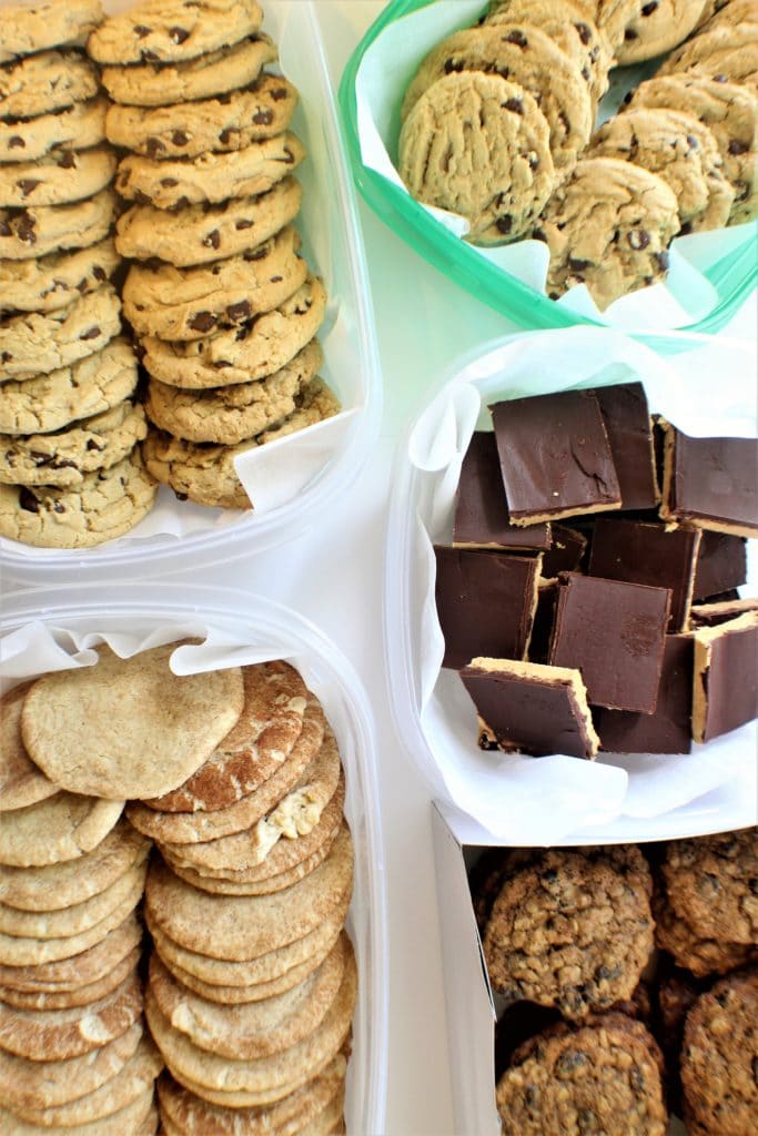 chocolate chip, snickerdoodle, peanut butter bars, and vegan oatmeal raisin cookies