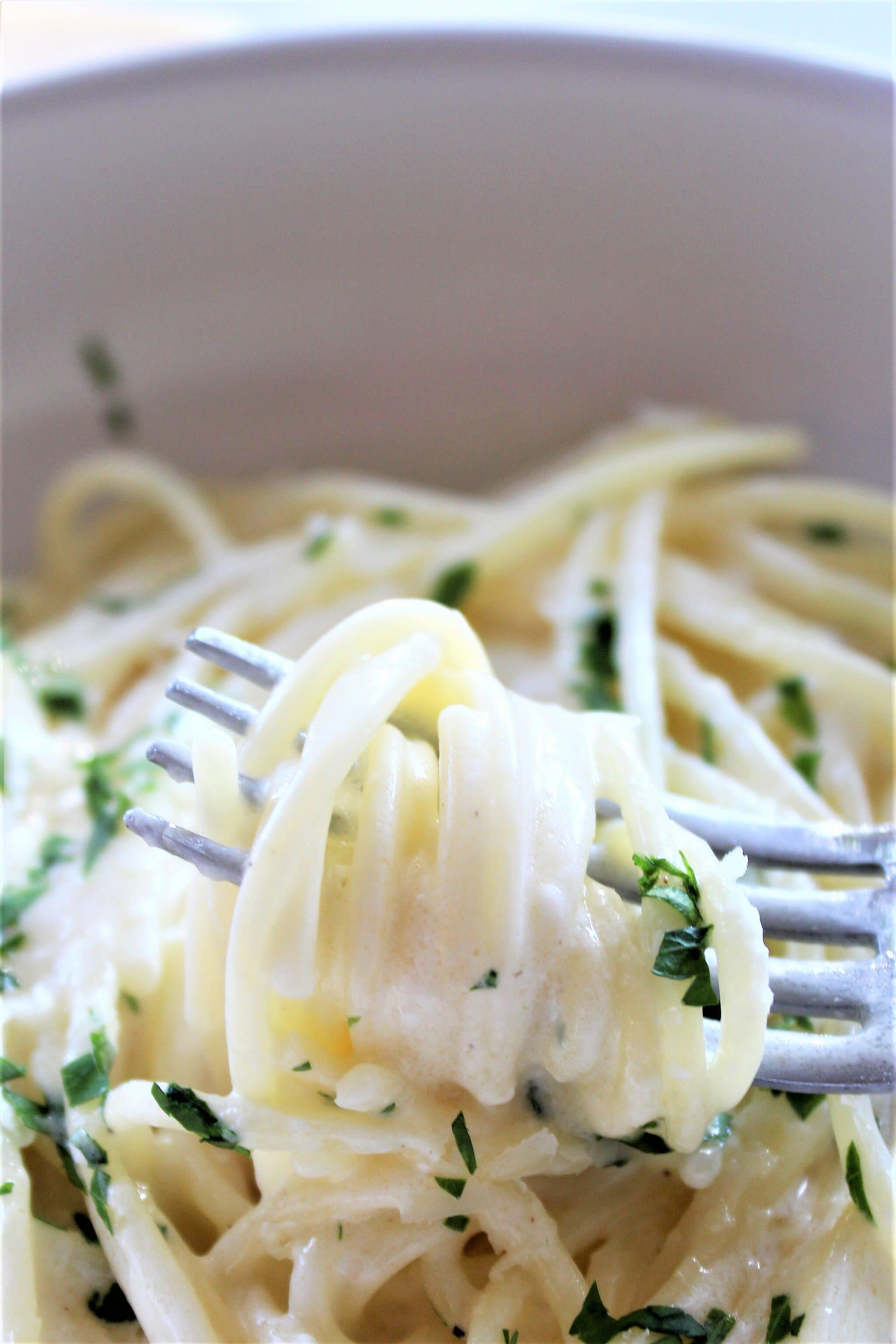 Gluten Free Copycat Olive Garden Alfredo Sauce Let Them Eat Gluten
