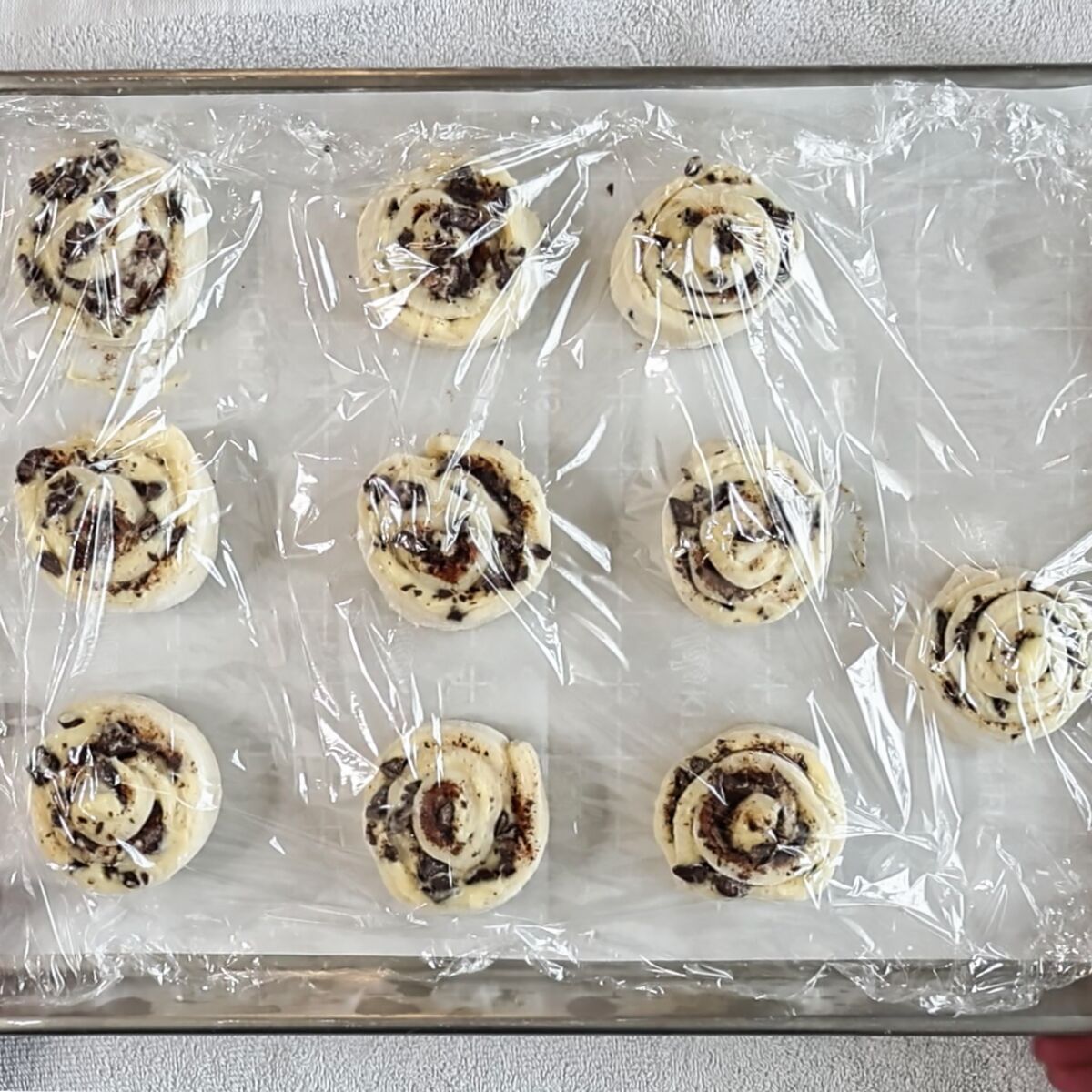 rolls on parchment-lined baking sheet covered in plastic wrap.