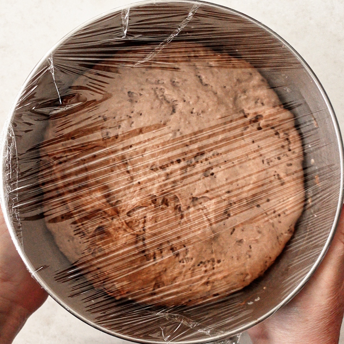 dough fully risen and covered with plastic wrap in stainless steel mixing bowl.