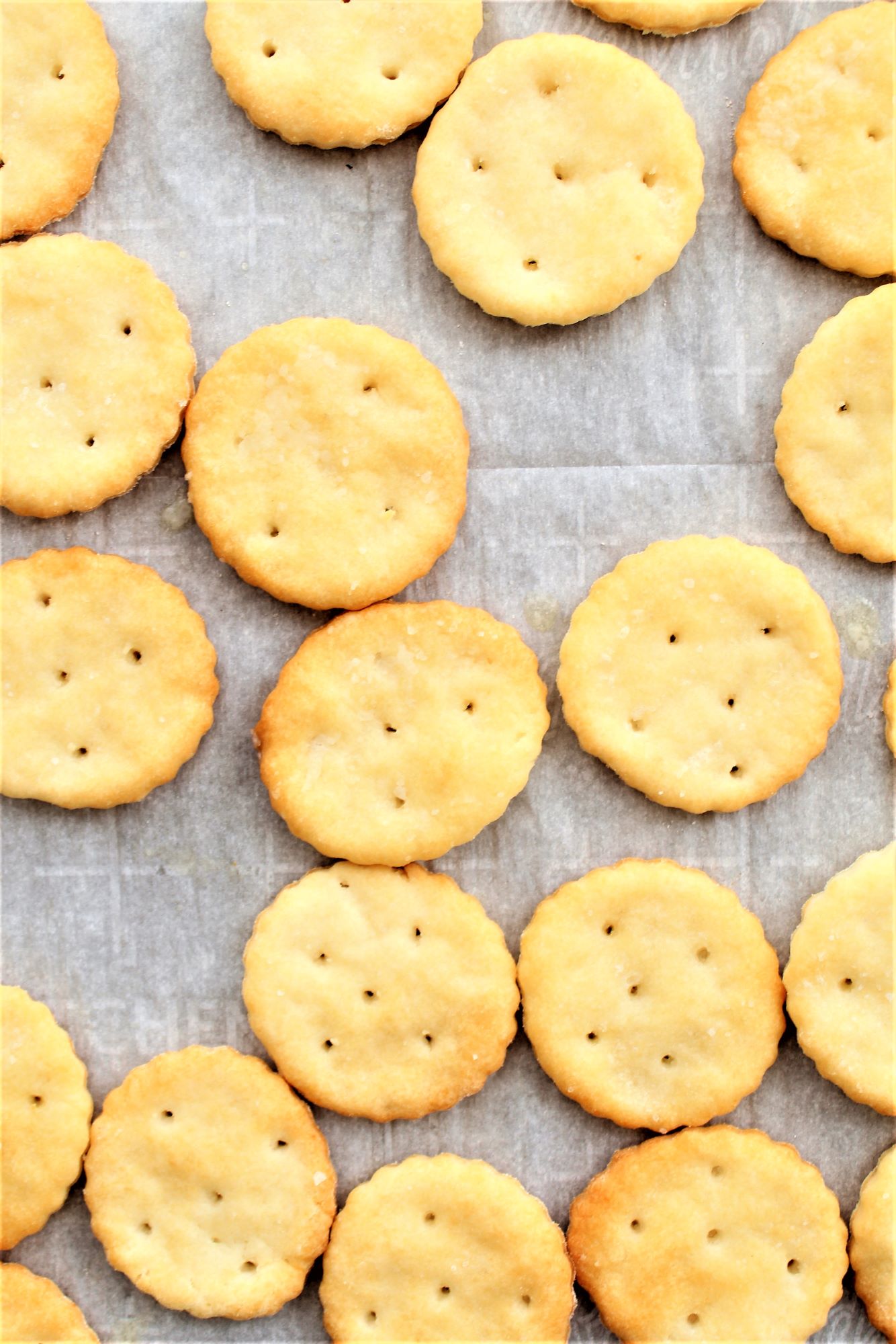 Gluten Free Ritz Style Crackers Let Them Eat Gluten Free Cake