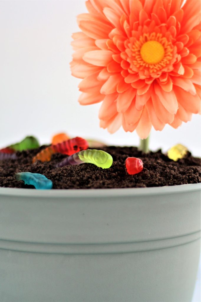 up close shot of flower pot filled with gf dirt cake