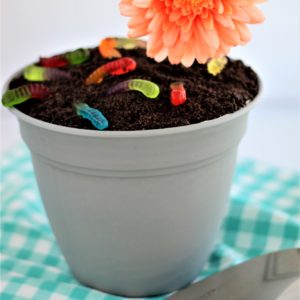 gluten free dirt cake in flower pot with gummy worms, flower, and trowel