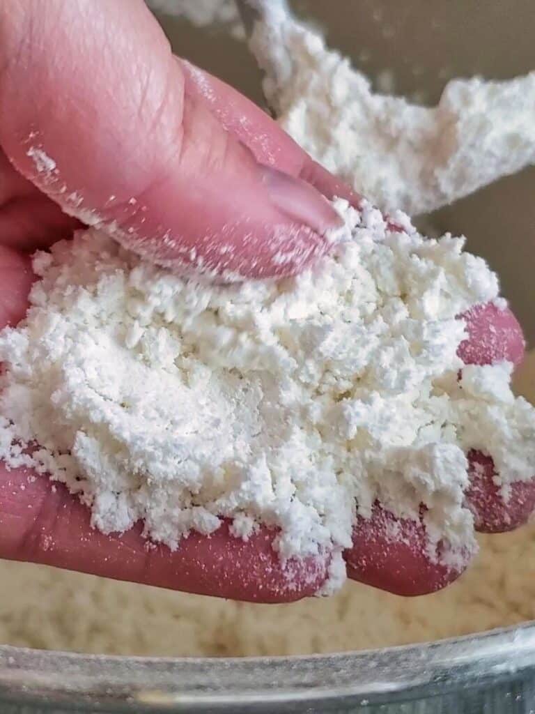 handful of dry ingredients mixed with butter to show texture of wet sand.