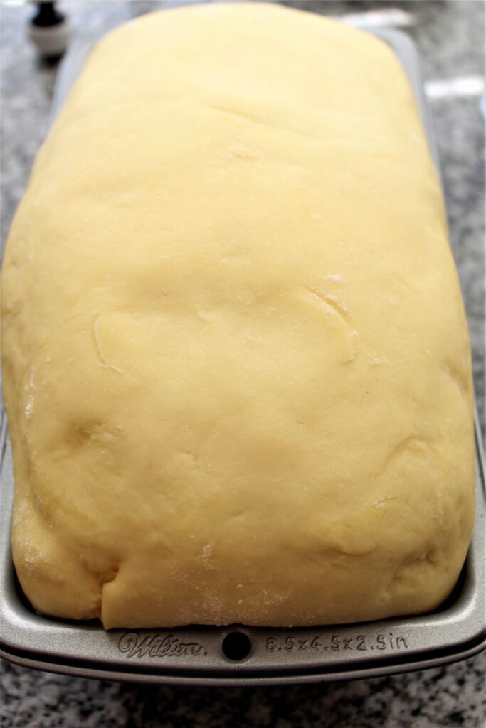 risen loaf of brioche dough