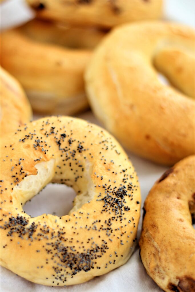 gluten free poppy seed, cinnamon raisin, and plain bagels