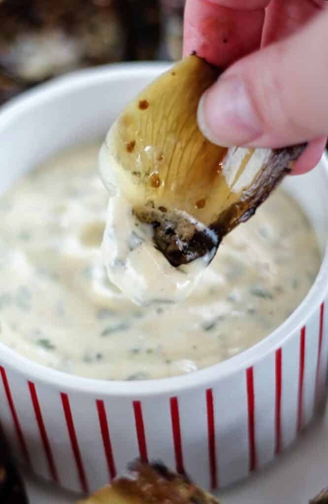 dipping artichoke leaf into garlic aioli