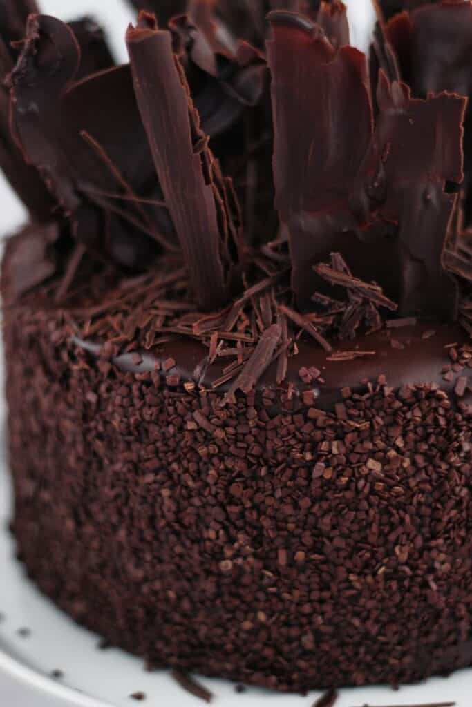 up close view of side of chocolate cake with ganache and sprinkles.