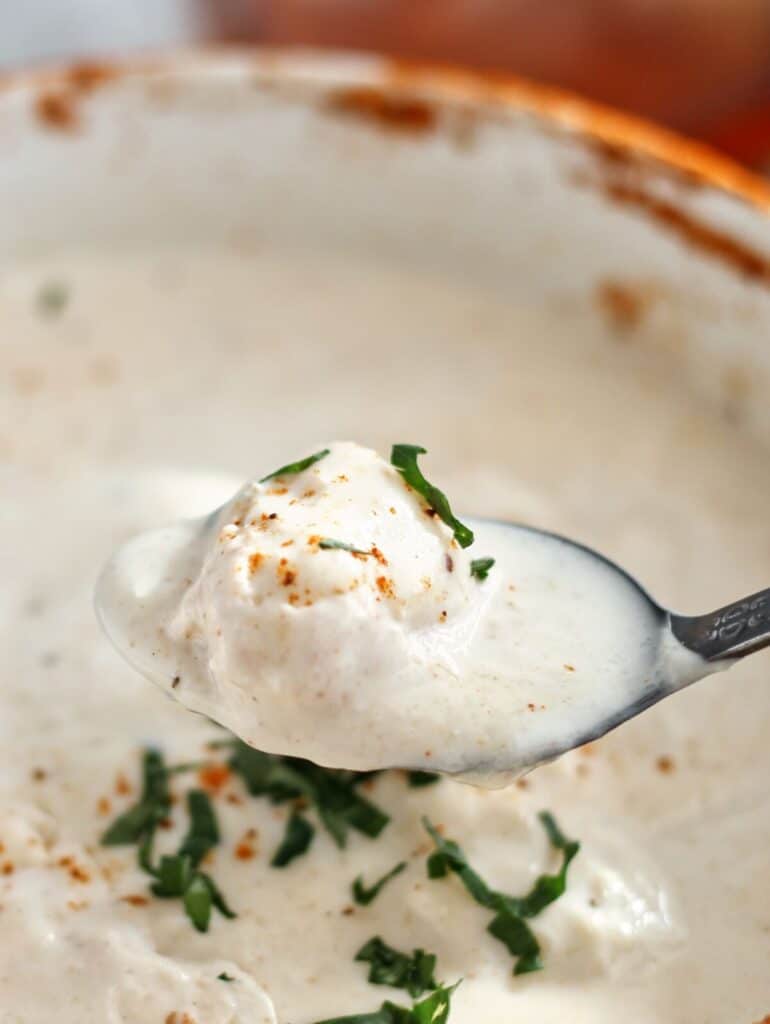 close up of spoonful of she crab soup with large chunk of crab.