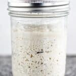 active gluten free sourdough starter in a mason jar.