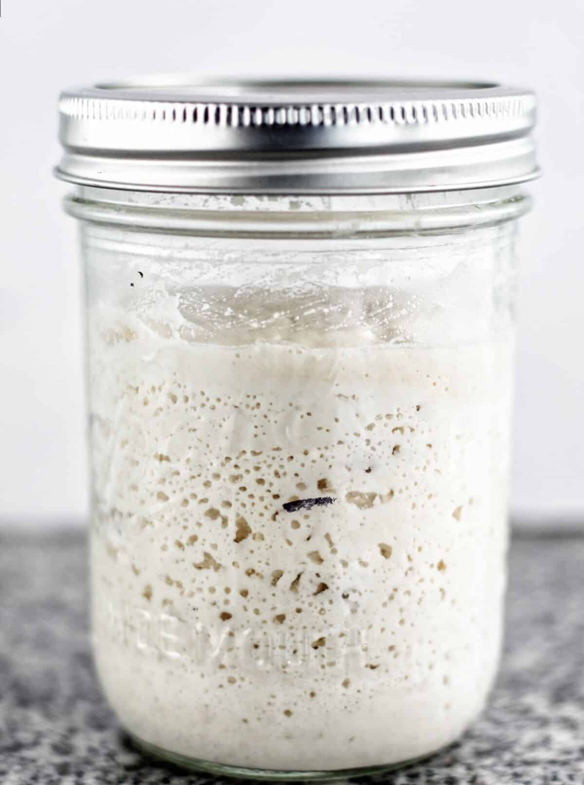 Sourdough Starter from Scratch - Scratch Eats