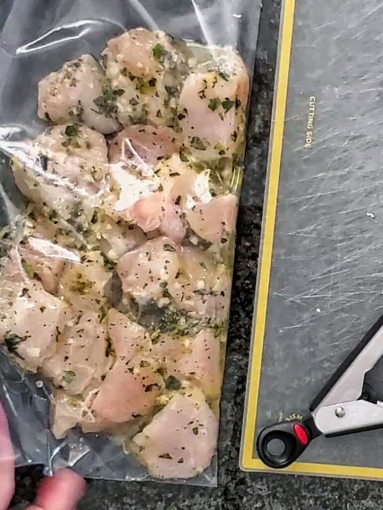 chicken pieces and marinade in large ziptop bag.