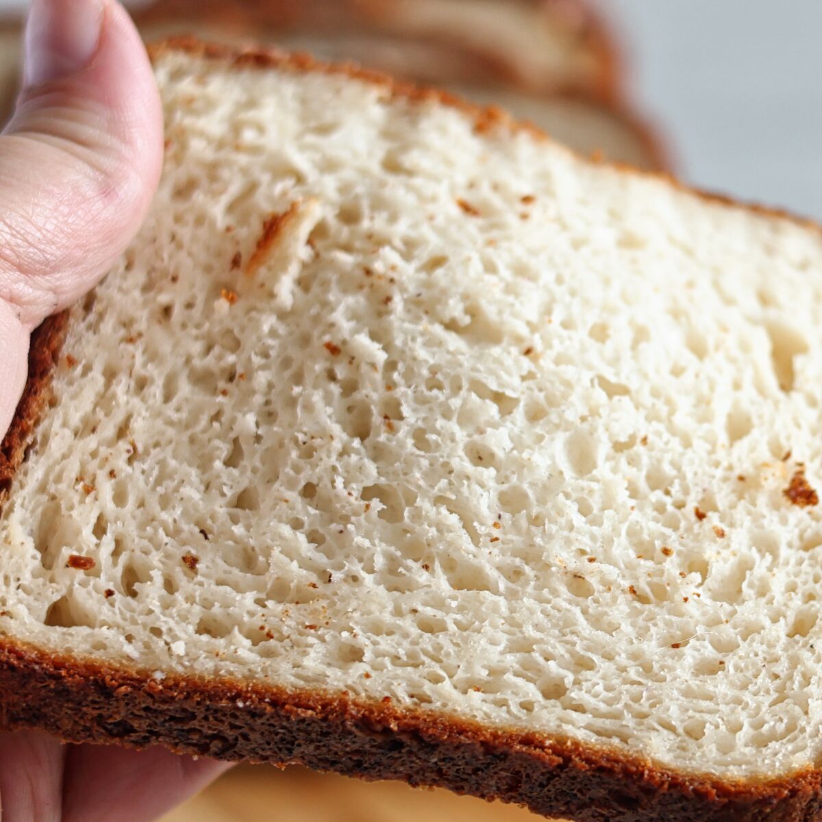 slice of gluten free sourdough sandwich bread.