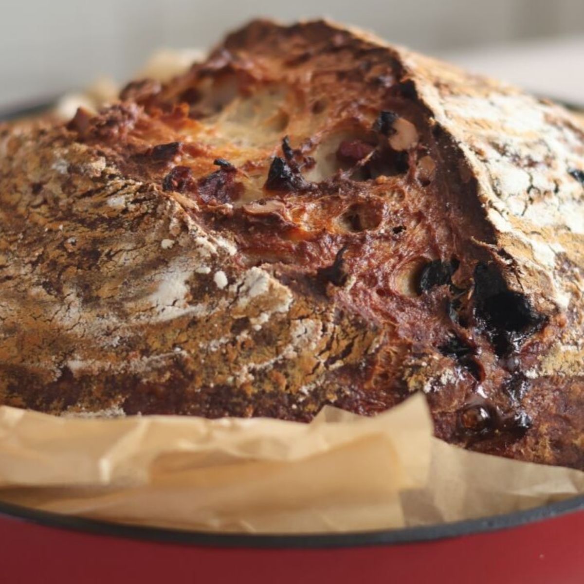 loaf of cranberry walnut bread in red bread baker with brown parchment around it.