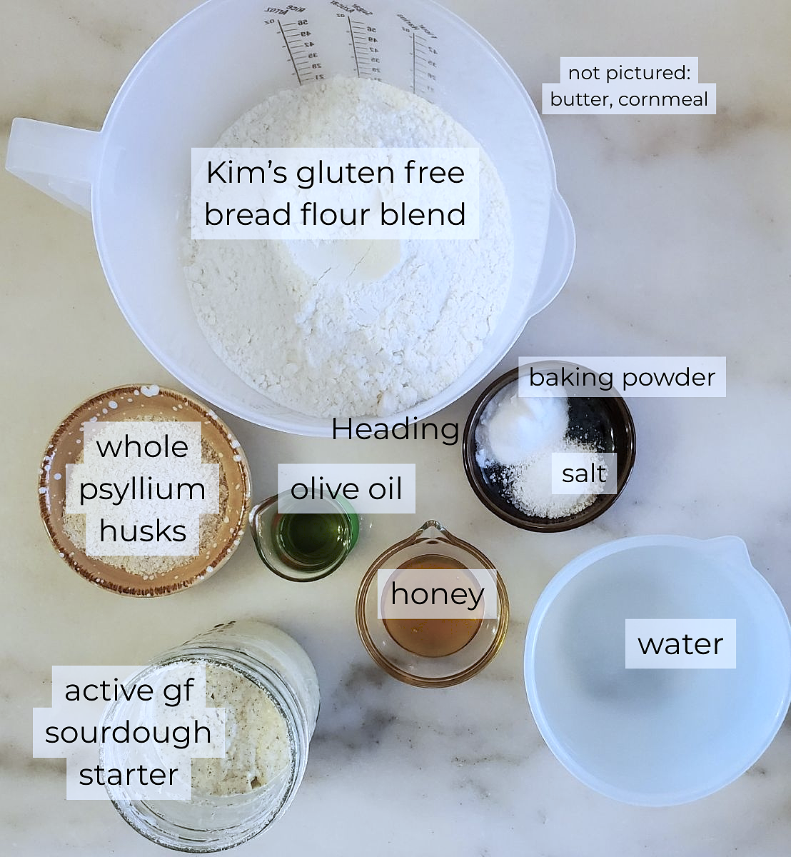sourdough english muffins ingredients measured out and labeled.