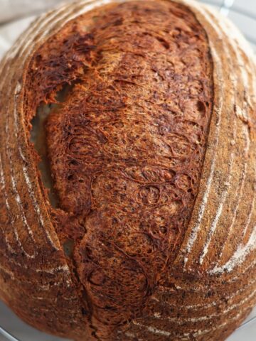 overhead shot of loaf of sourdough on round wire rack.