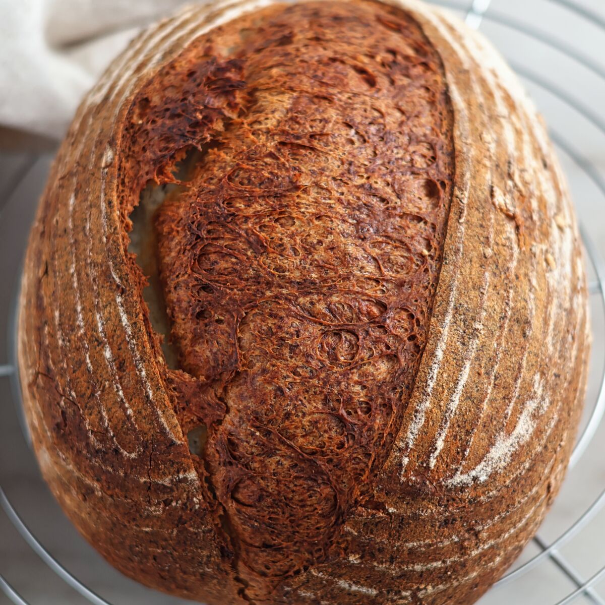 overhead shot of loaf of sourdough on round wire rack.