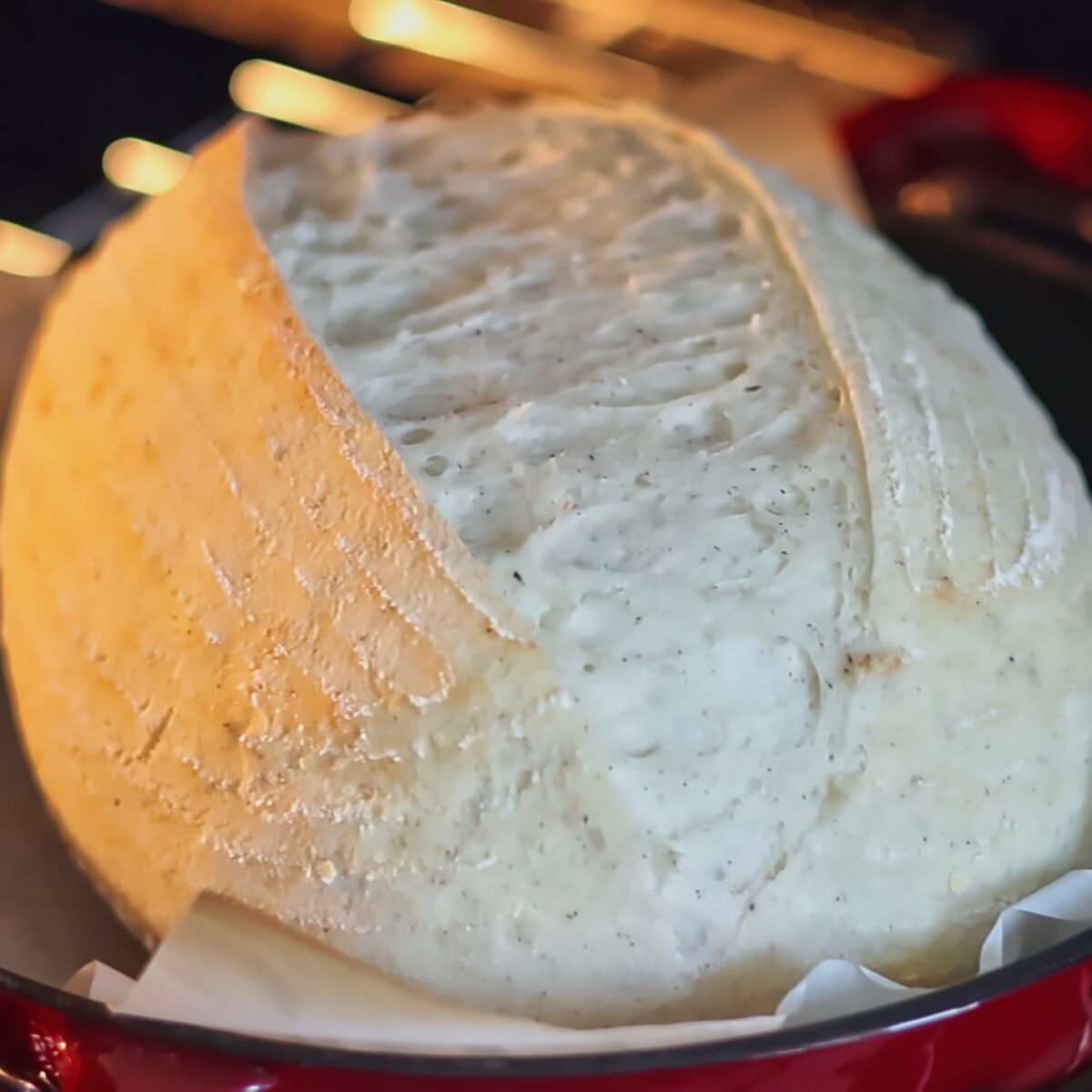 partially baked sourdough loaf on parchment inside dutch oven.