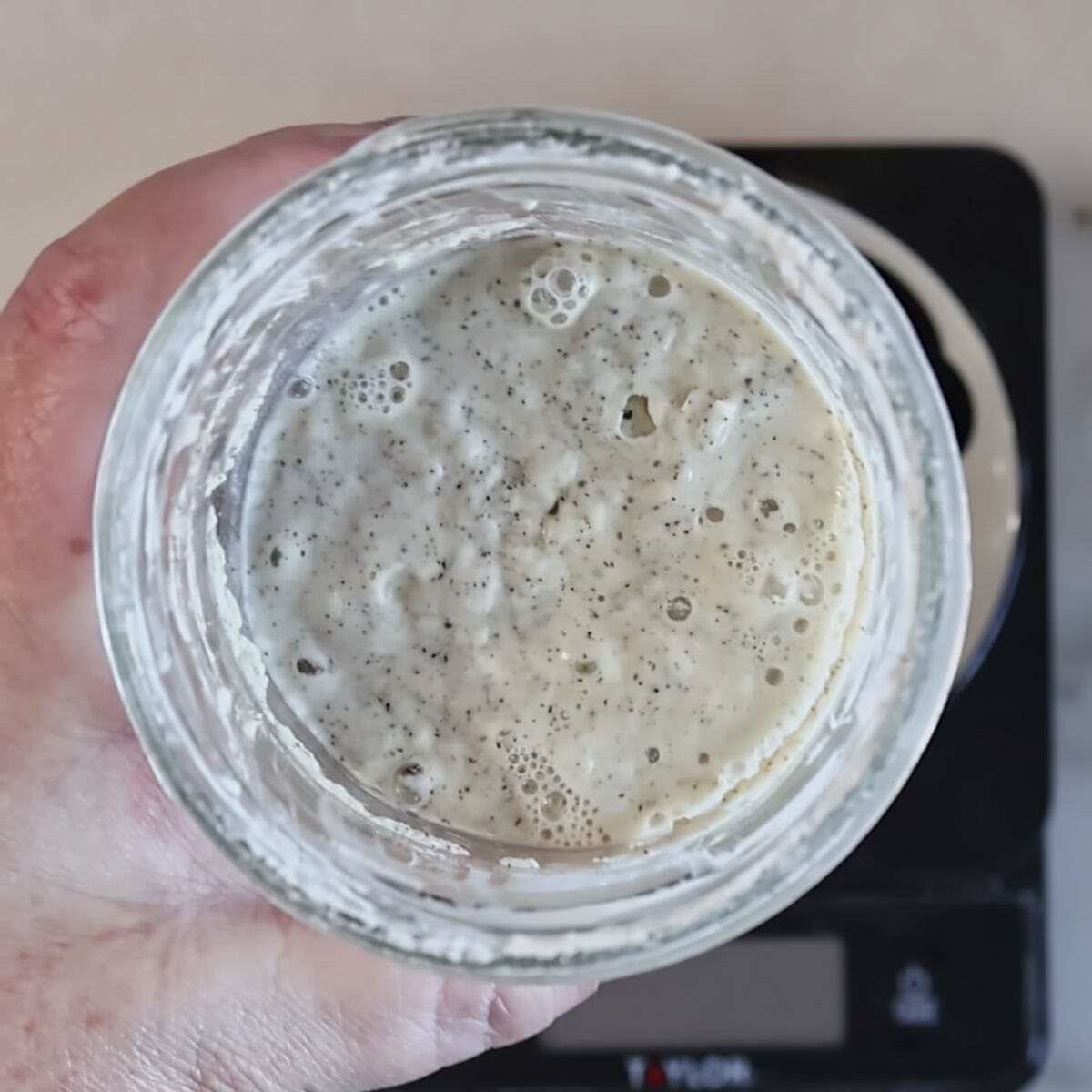 bubbly sourdough starter in glass jar.