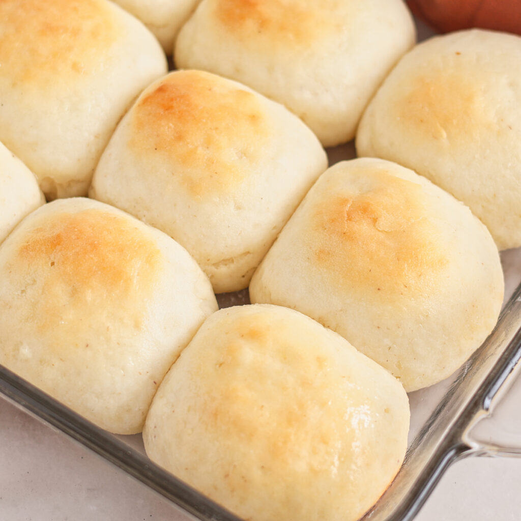 rolls lined up in glass baking dish.